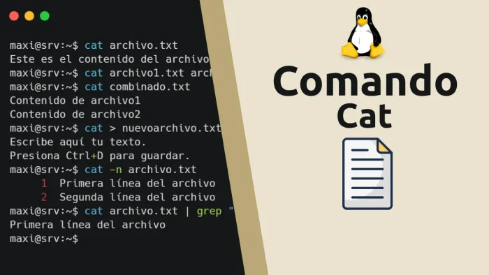 Comando cat en Linux: qué es y cómo usarlo