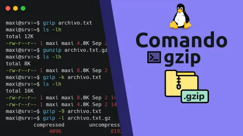 Comando gzip en Linux: comprimir y descomprimir archivos