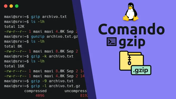 Comando gzip en Linux: comprimir y descomprimir archivos