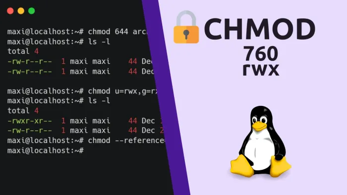 Permisos en Linux con el Comando CHMOD